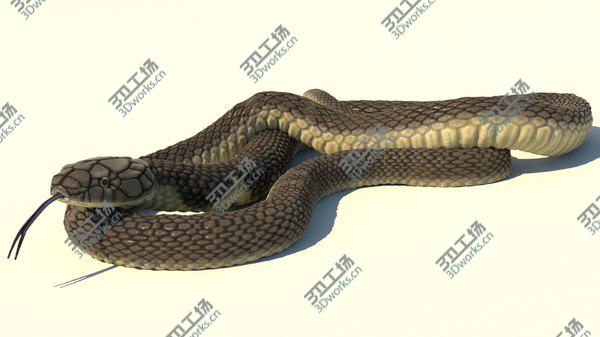 images/goods_img/20210312/3D model King Cobra Rigged Animated/2.jpg